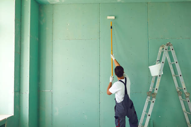 Best Mold Remediation for Rental Properties  in Gibbsboro, NJ