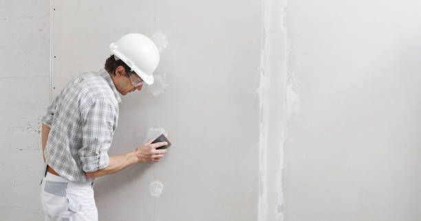 Best Basement Mold Removal  in Gibbsboro, NJ