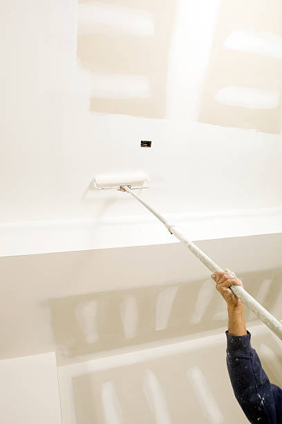 Best Biohazard Mold Removal  in Gibbsboro, NJ